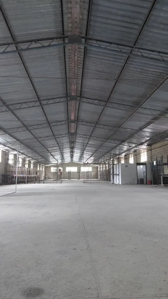 Amplio y versátil Galpón, en la Zona Industrial Las Minas, San Antonio de los Altos