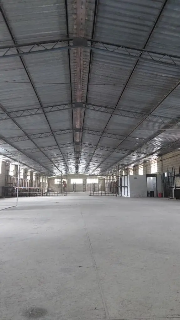 Amplio y versátil Galpón, en la Zona Industrial Las Minas, San Antonio de los Altos